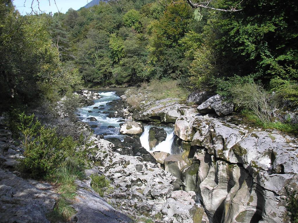 Hotel Pierre Blanche Chatillon-en-Michaille Luaran gambar